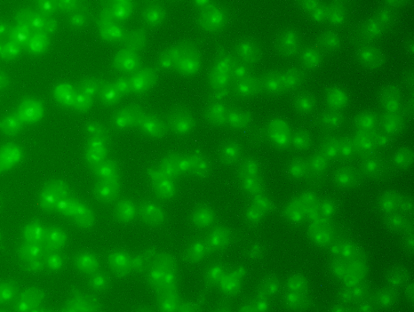 1d6178495e4046349e1528ed6eebb4bb.png 1d6178495e4046349e1528ed6eebb4bb.png