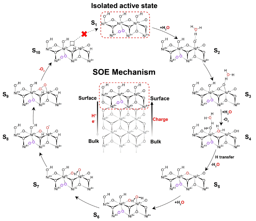 919a33cb1ef5449291f9eca93a013117.png 919a33cb1ef5449291f9eca93a013117.png