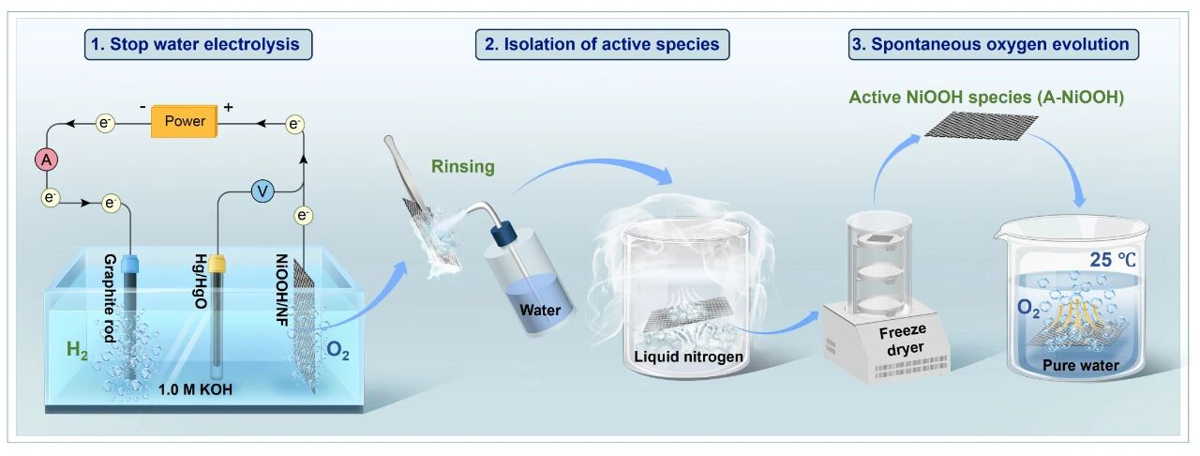 a407a85b07994aeda8ba03ab86da1e60.png a407a85b07994aeda8ba03ab86da1e60.png