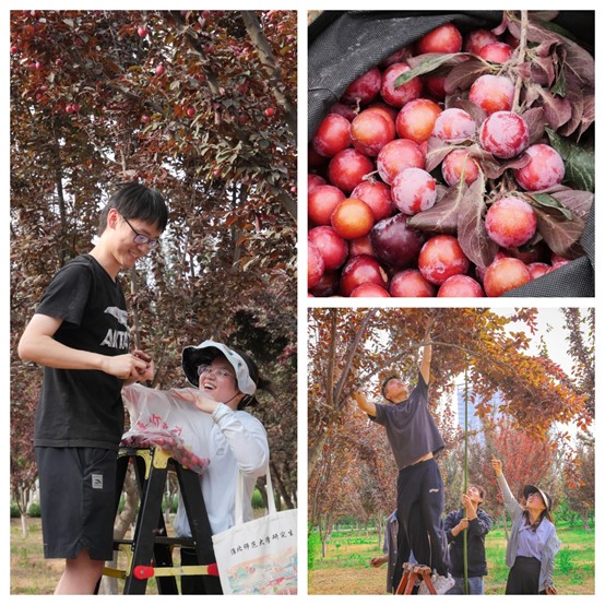 90332f6531b544509330b559097e38f2.jpg 90332f6531b544509330b559097e38f2.jpg