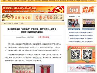 【中国高校之窗】：bd官方登录页面在“杨府锦杯”安徽省第七届工业设计大赛食品创新设计专项赛中取得佳绩