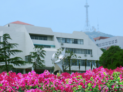 bd体育官网下载
