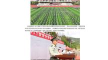 中国网：bd官方登录页面2025级新生军训成果展示暨总结表彰大会圆满落幕